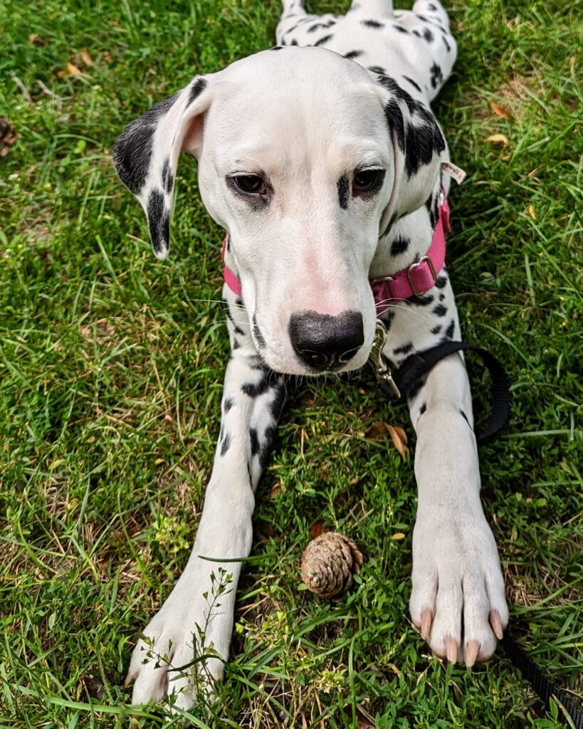 PXL 20230801 1449002612