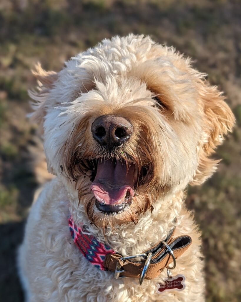 PXL 20240104 174628247.PORTRAIT