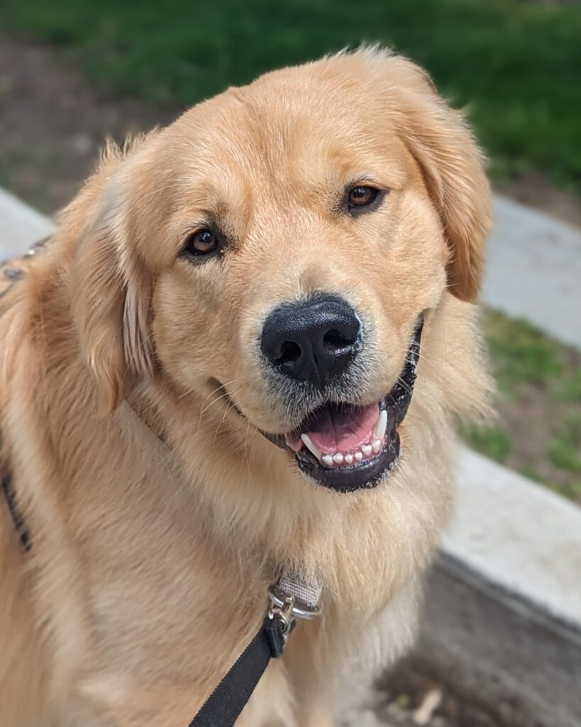 PXL 20240501 175940430.PORTRAIT