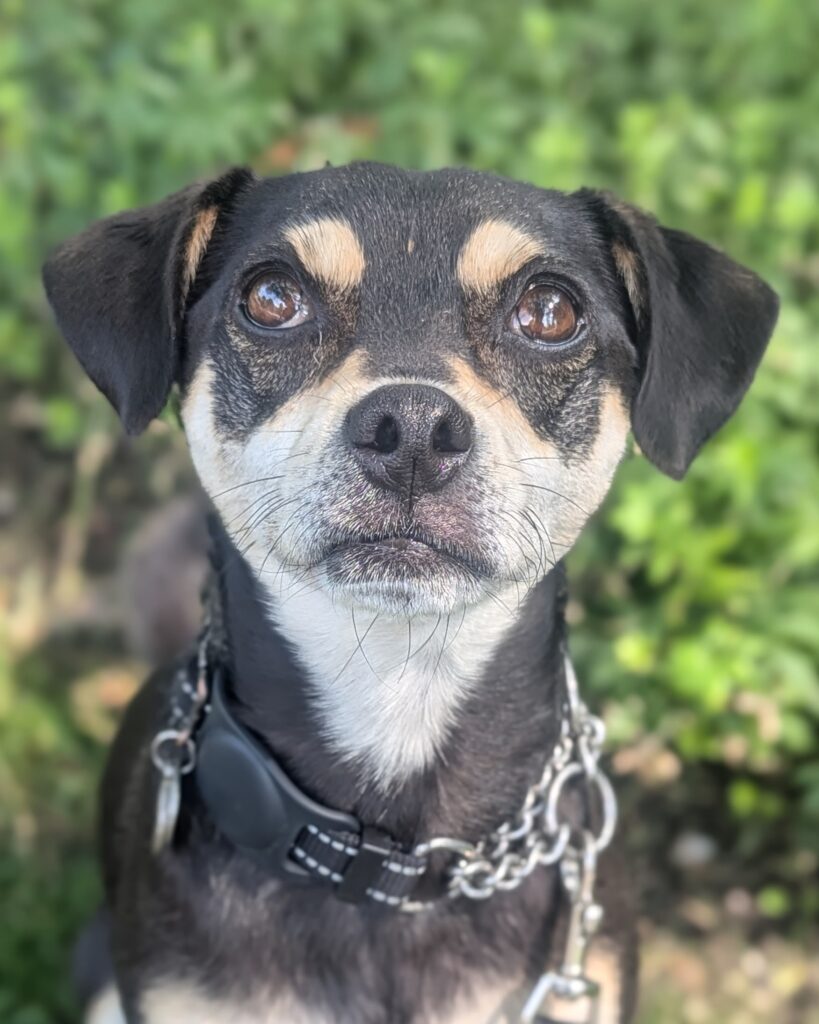 PXL 20240708 193719642.PORTRAIT2