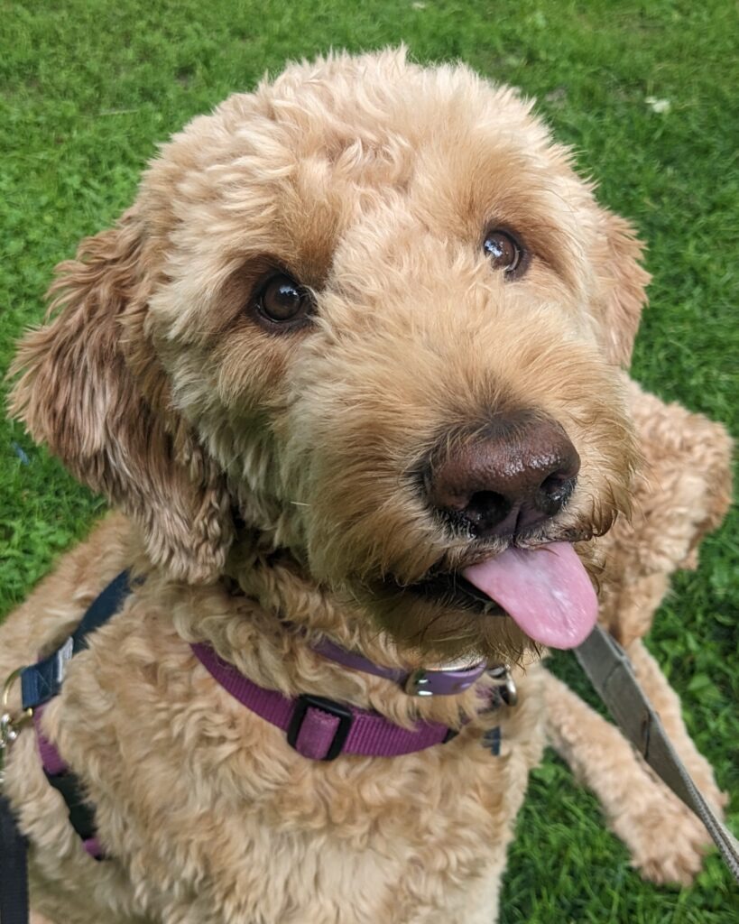 PXL 20240718 151506209